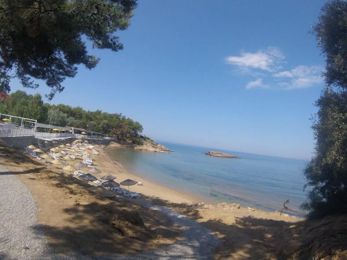 rainbow ozdere - Marmara Bölge Gazetesi