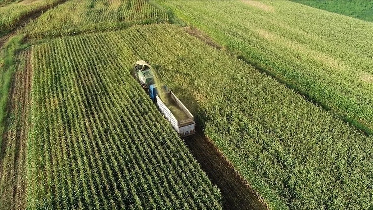 s 7afb090b6ccca9ba52a1b5d81fe0a9b2732f7e72 - Marmara Bölge Gazetesi