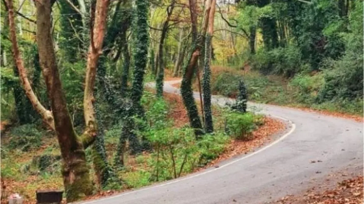 susurluk 5 - Marmara Bölge Gazetesi