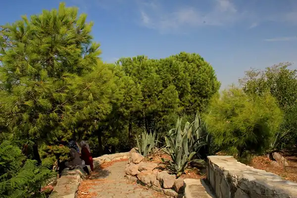 Susuz Dede’nin Sırrı Çözülüyor! susuz dede ic3 - Marmara Bölge Gazetesi