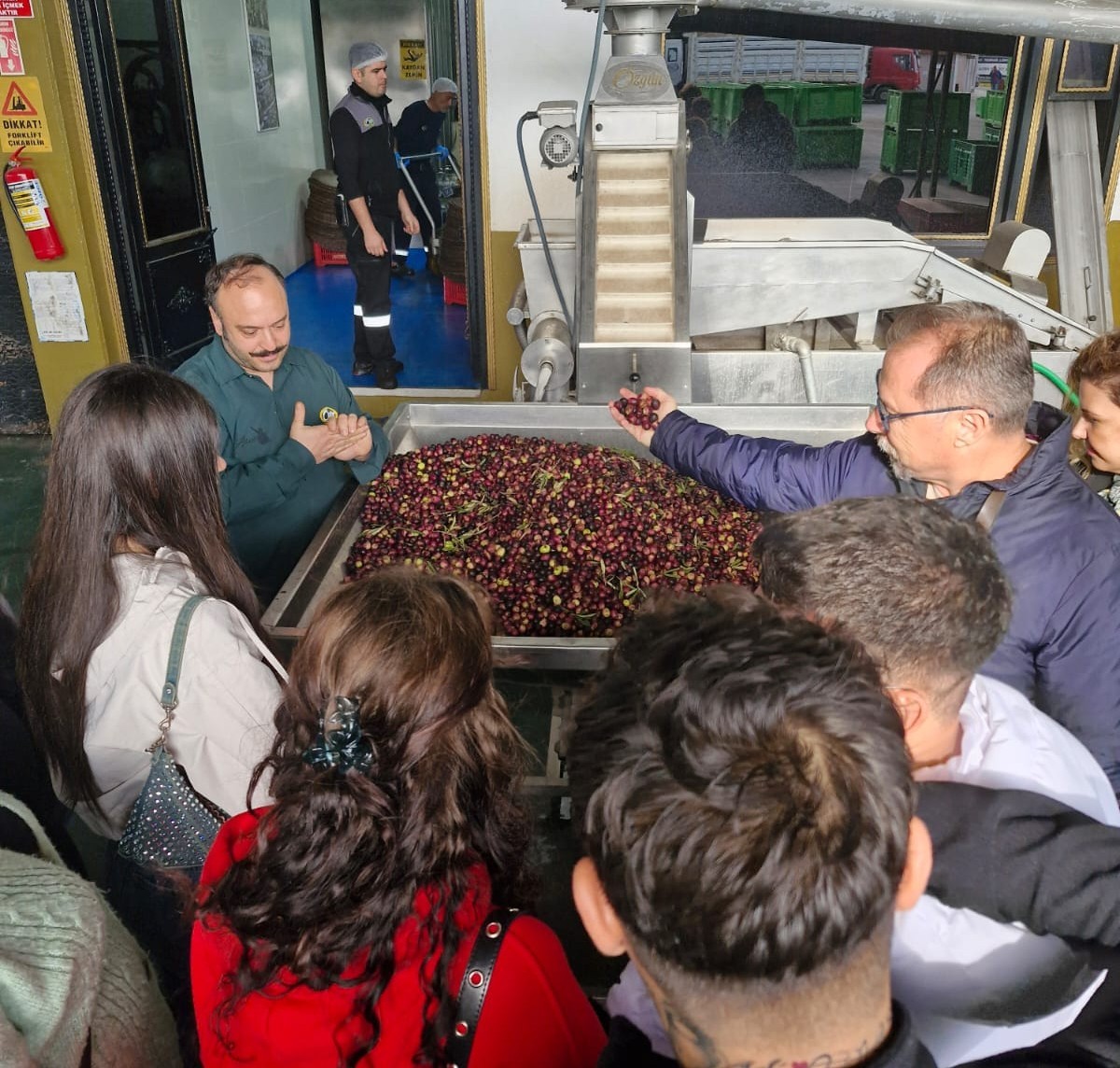 Balıkesir Üniversitesi Ayvalık MYO öğrencileri, Özgün Zeytincilik Fabrikası’nda zeytinyağı üretim