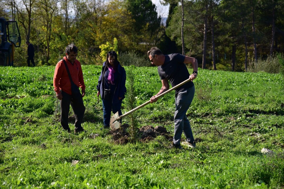 thumbnail 8 - Marmara Bölge Gazetesi