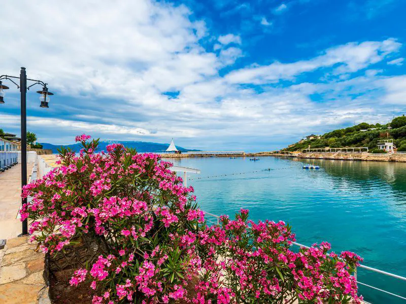 Ege’de Sonbahar’da Gidilebilecek En Güzel Yer! urlada ne yenir nerede yenir urlanin en iyi 12 restorani 07da033b 82f9 4407 baef 019d55a3f1a0.jpg - Marmara Bölge Gazetesi