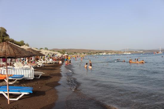 Doğayla Baş Başa Huzur Dolu Bir Kaçış yahsi plaji - Marmara Bölge Gazetesi