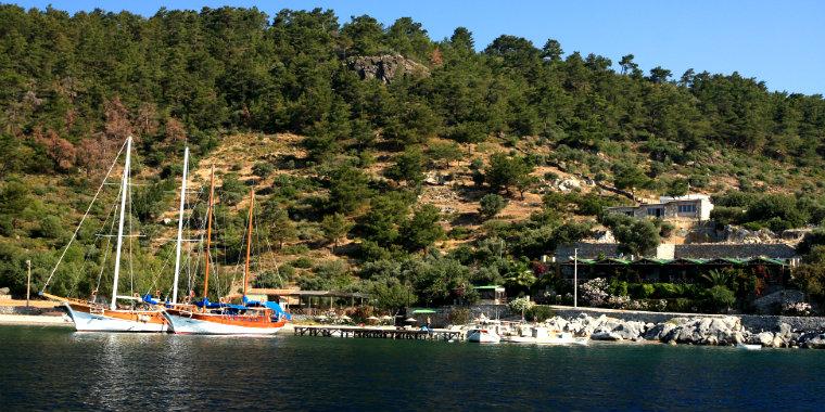 Mazı Koyu, Muğla’nın Bodrum ilçesi sınırlarında yer alan ve doğal