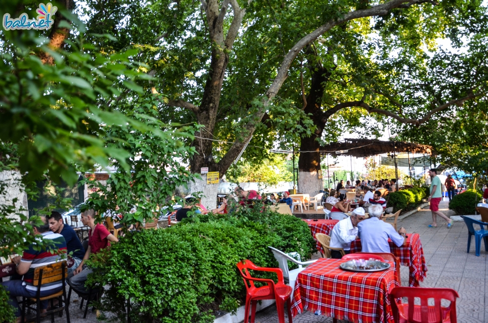 Edremit’in Doğayla İç İçe Köyü 30 6423 3844756693 - Marmara Bölge Gazetesi