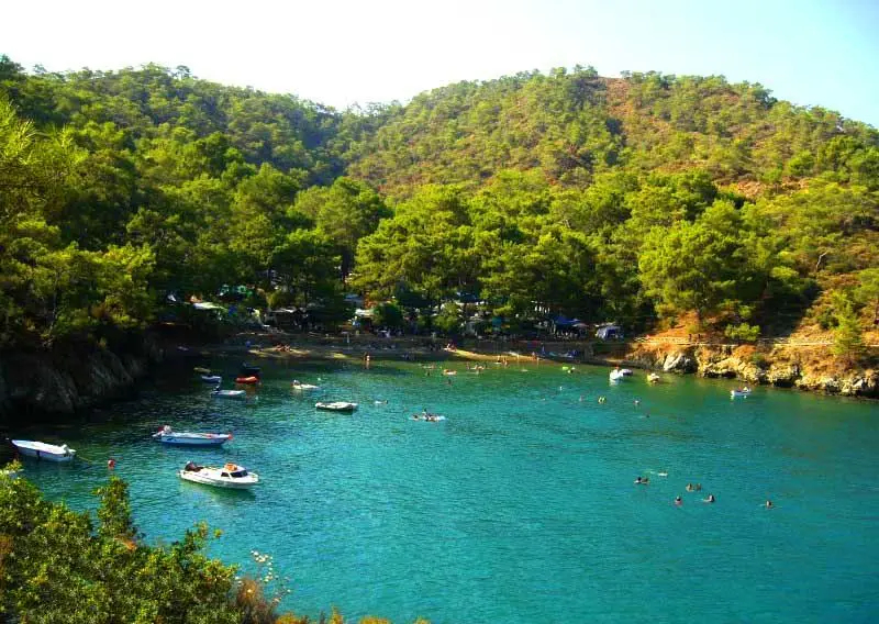 Muğla’nın Fethiye ilçesinde yer alan Katrancı Koyu Tabiat Parkı, çam