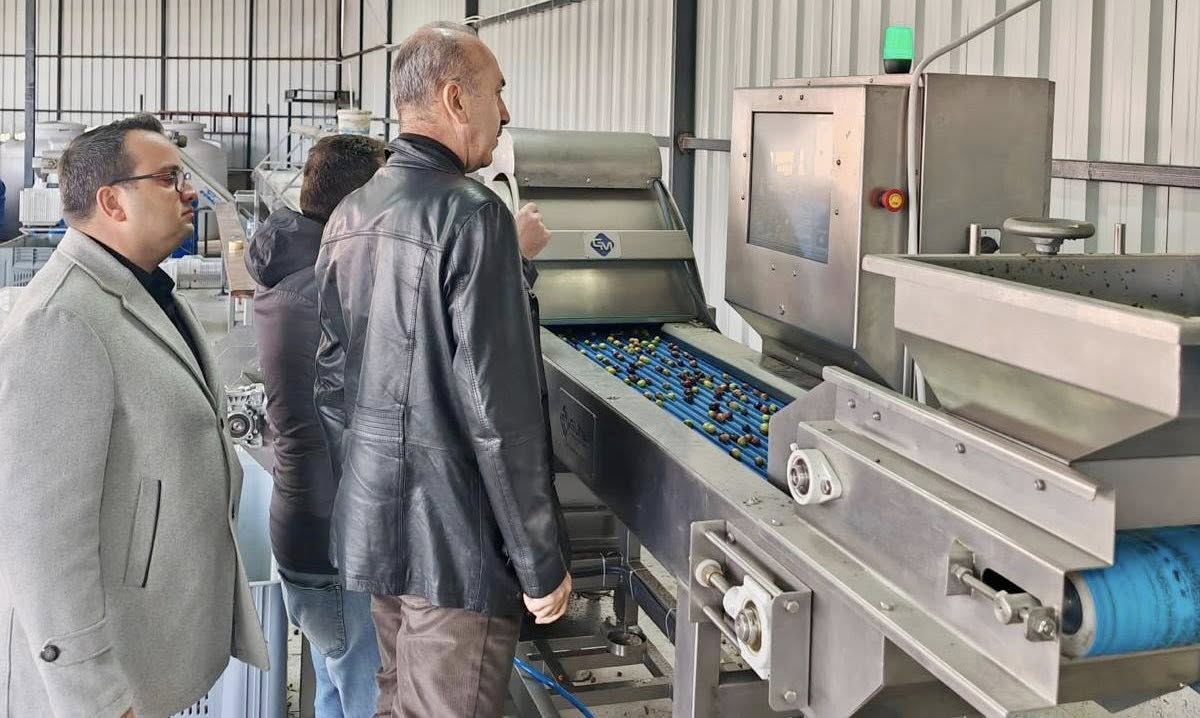 Havran’da Tarıma Yakın Markaj 598567390 1267191915451668 4069206902006975350 n - Marmara Bölge Gazetesi