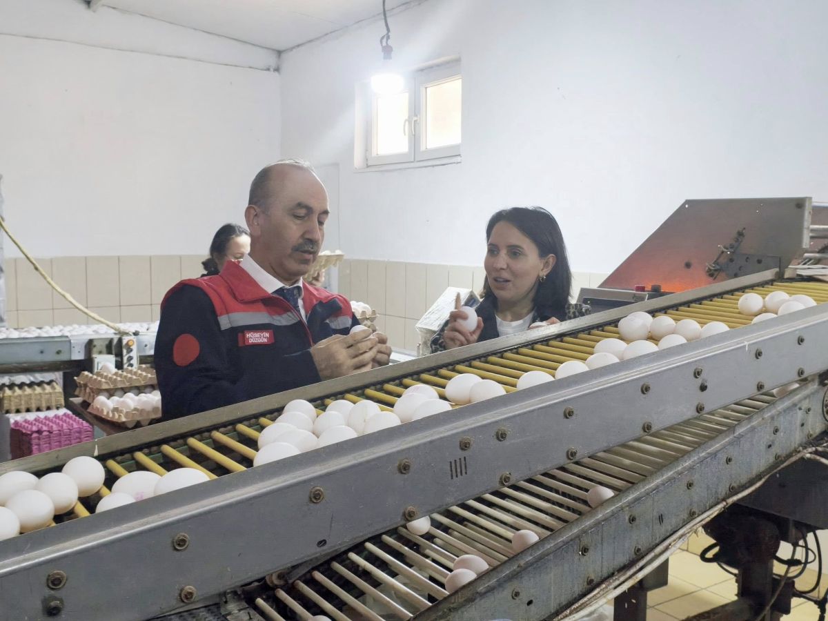 Balıkesir’de Kanatlı Sektöründe İnceleme 601032662 1268599768644216 800794261843174017 n - Marmara Bölge Gazetesi