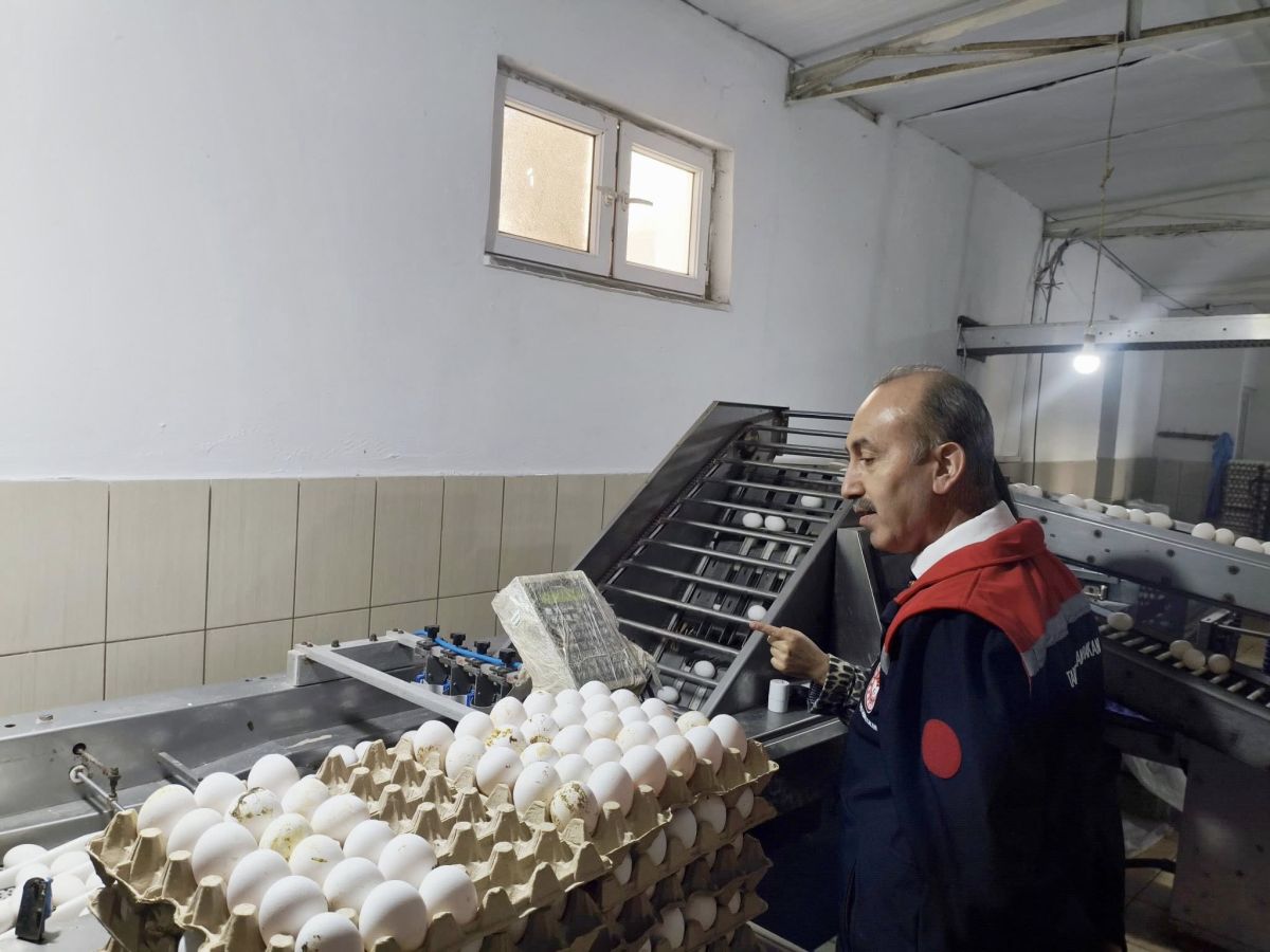 Balıkesir’de Kanatlı Sektöründe İnceleme 601176902 1268599901977536 6192825388742013137 n - Marmara Bölge Gazetesi