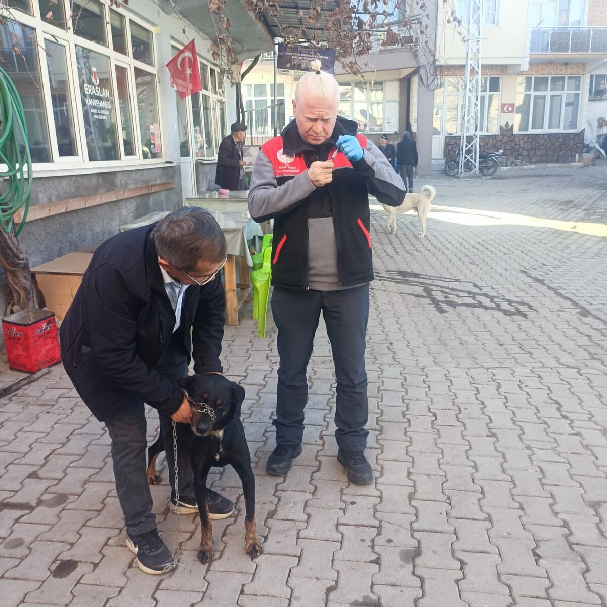 Kedi ve Köpeklere Mikroçip Takılıyor 602918698 1270893648414828 8435981754970248314 n - Marmara Bölge Gazetesi