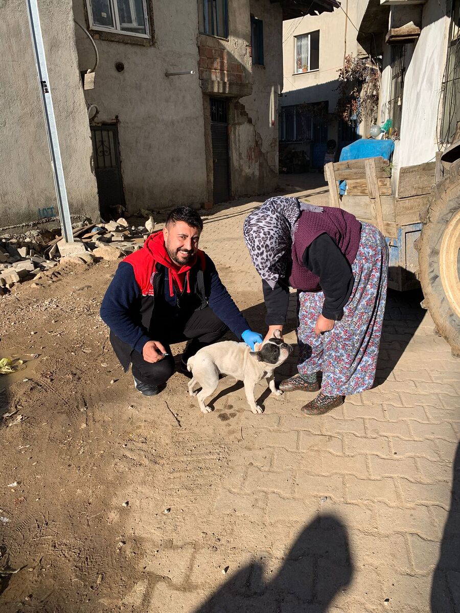 Kedi ve Köpeklere Mikroçip Takılıyor 603908092 1270893335081526 207653420673242434 n - Marmara Bölge Gazetesi