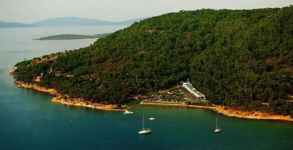 6077603c9e1a5e4718009b93.jpg - Marmara Bölge Gazetesi