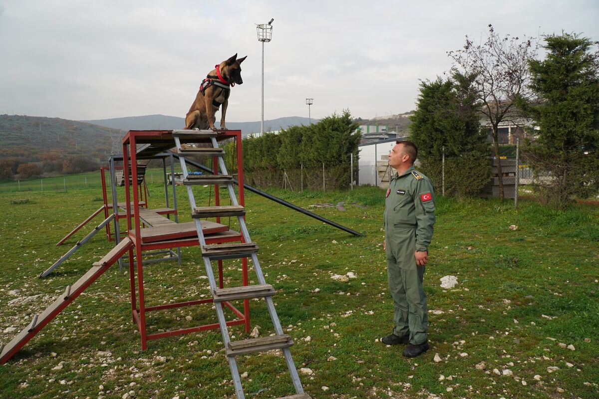 Balıkesir İtfaiyesi’nin Yeni Kahramanı: K9 İda 79ec91ca 8d08 409b 9a79 f05864708fe8 - Marmara Bölge Gazetesi