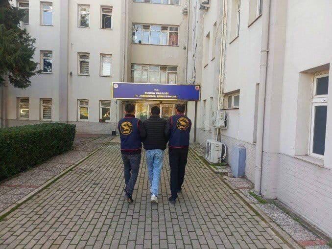 Tiny House Bir Gecede Sökülüp Kaçırıldı! AW591192 02 - Marmara Bölge Gazetesi