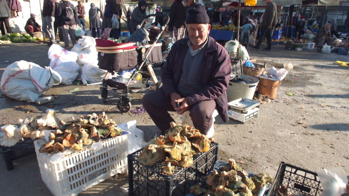 Melki 400 TL’den 100 TL’ye Düştü! Uygun Fiyatlı Melki Nereden Bulunur? AW591223 02 - Marmara Bölge Gazetesi