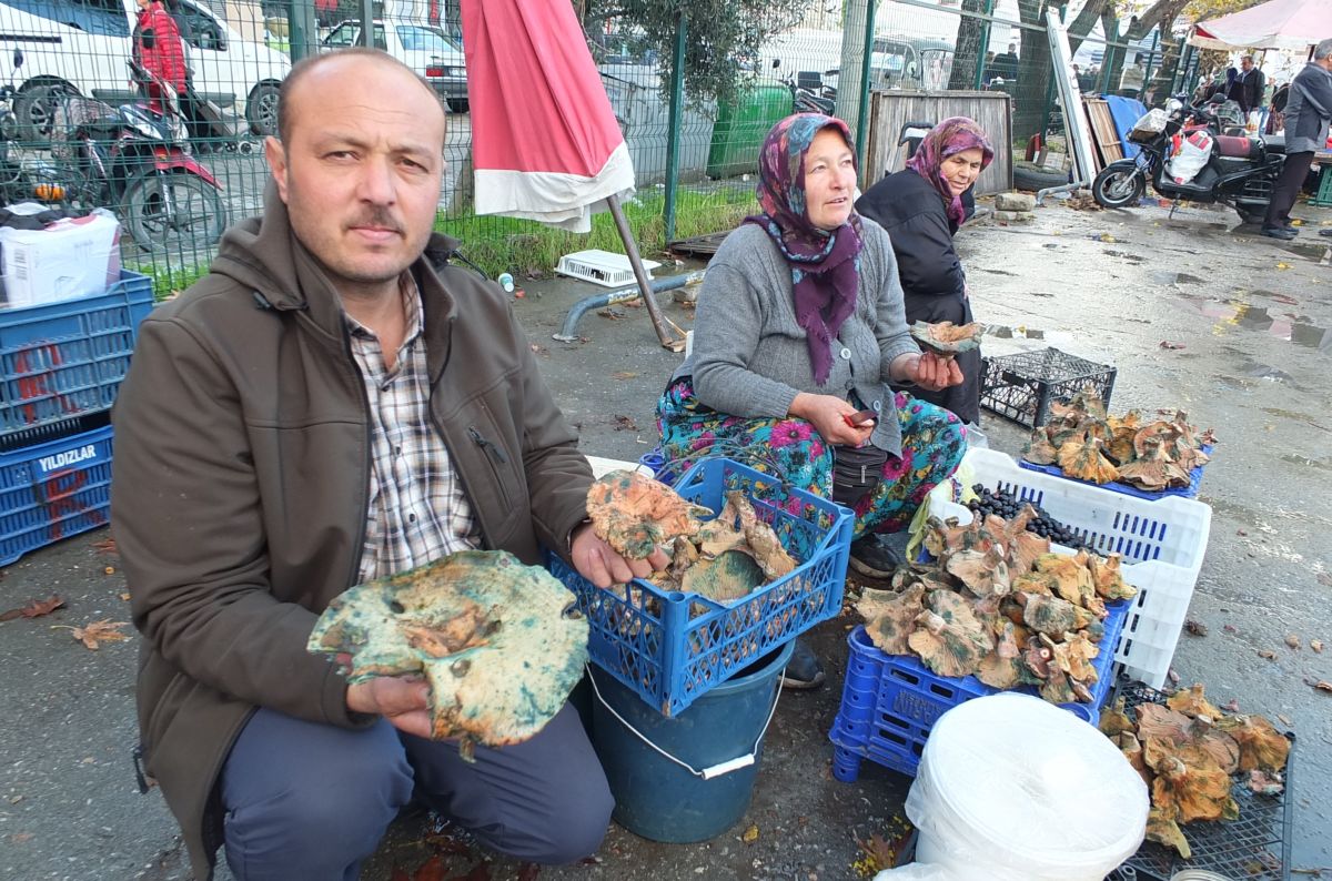 Melki 400 TL’den 100 TL’ye Düştü! Uygun Fiyatlı Melki Nereden Bulunur? AW591223 03 - Marmara Bölge Gazetesi