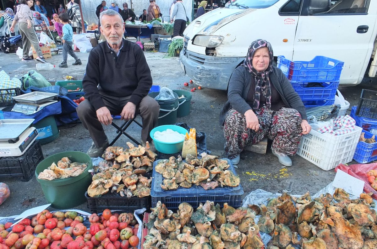 Melki 400 TL’den 100 TL’ye Düştü! Uygun Fiyatlı Melki Nereden Bulunur? AW591223 04 - Marmara Bölge Gazetesi