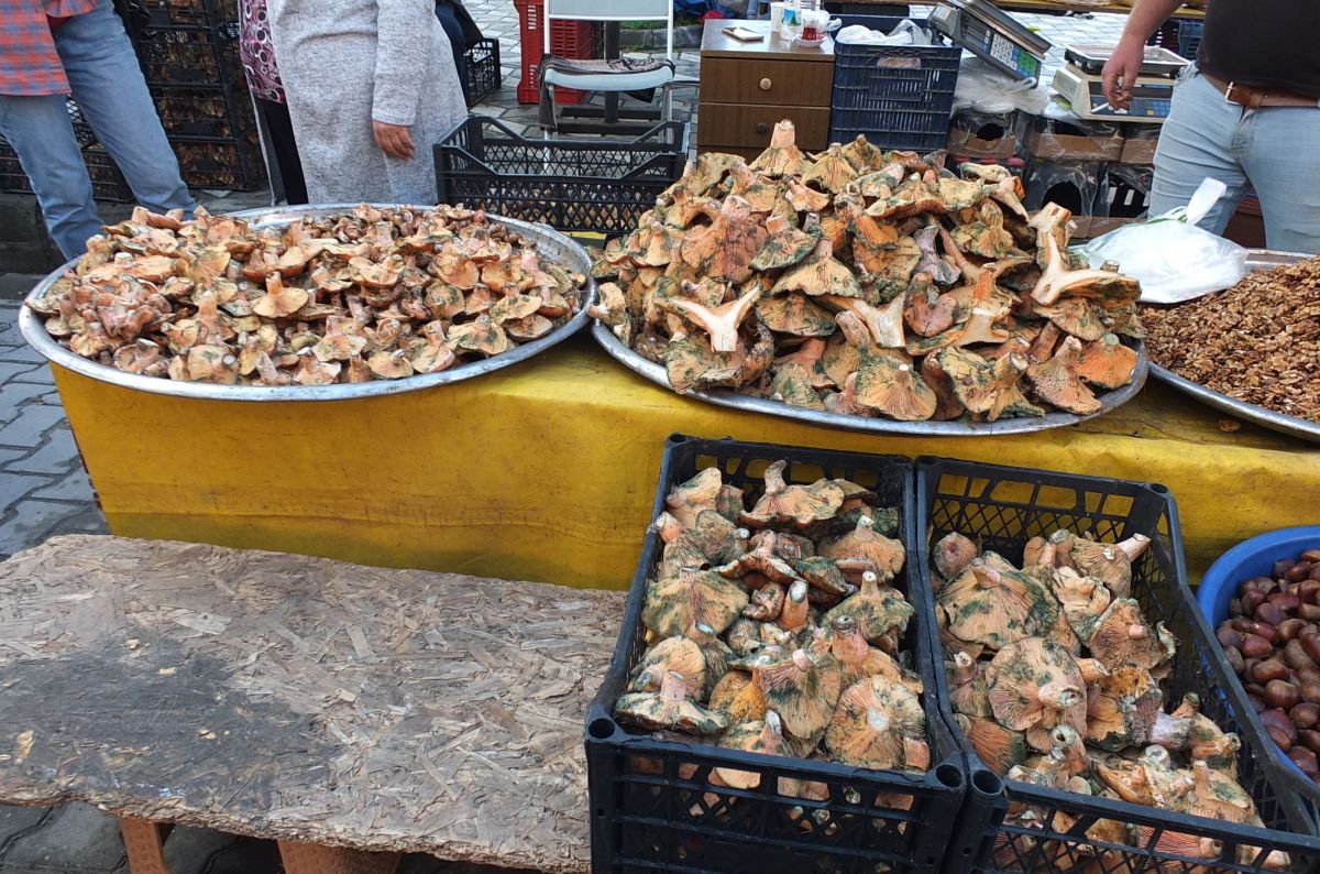 Melki 400 TL’den 100 TL’ye Düştü! Uygun Fiyatlı Melki Nereden Bulunur? AW591223 05 - Marmara Bölge Gazetesi