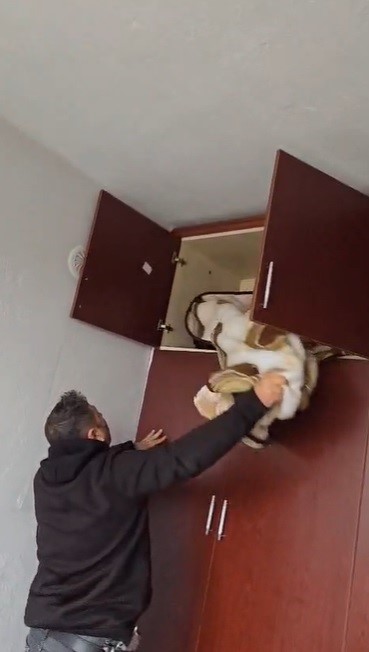 Gardırop Üstü Gizlenme Taktiği Çalışmadı AW596334 01 - Marmara Bölge Gazetesi