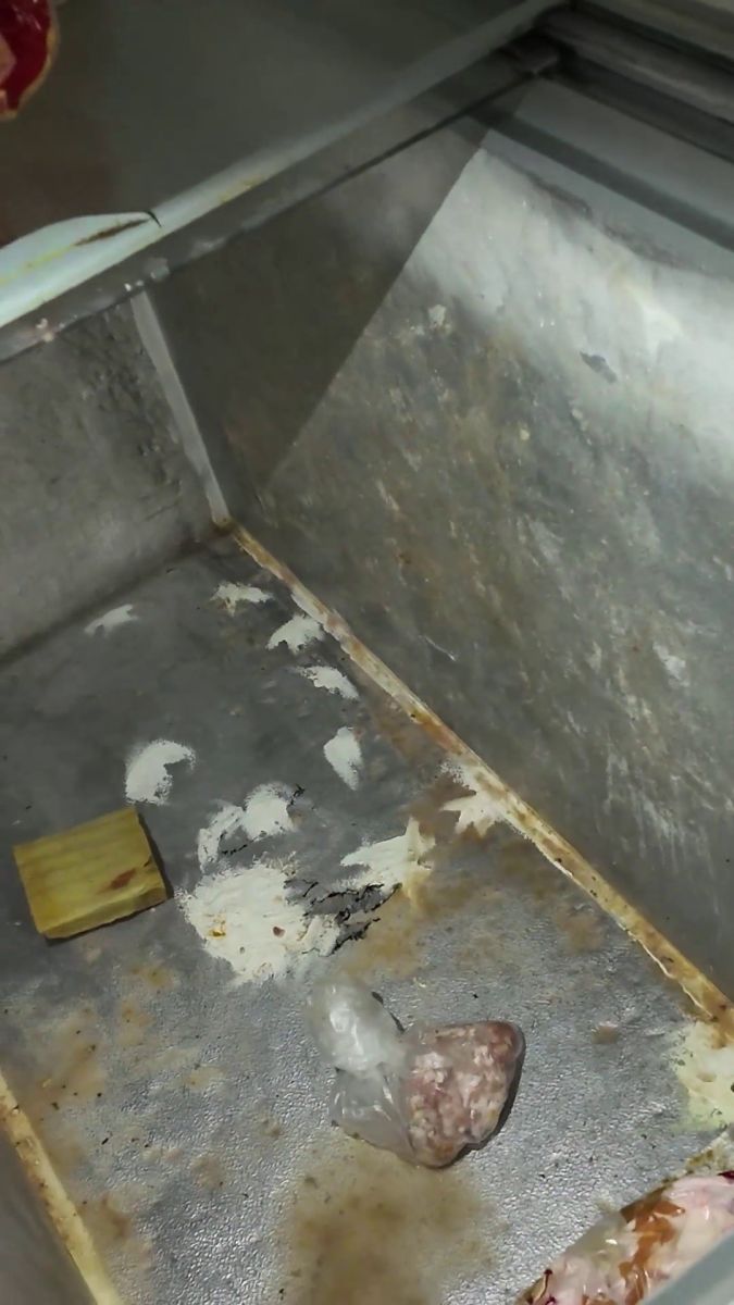Dönercide Mide Bulandıran Görüntüler AW597690 03 - Marmara Bölge Gazetesi