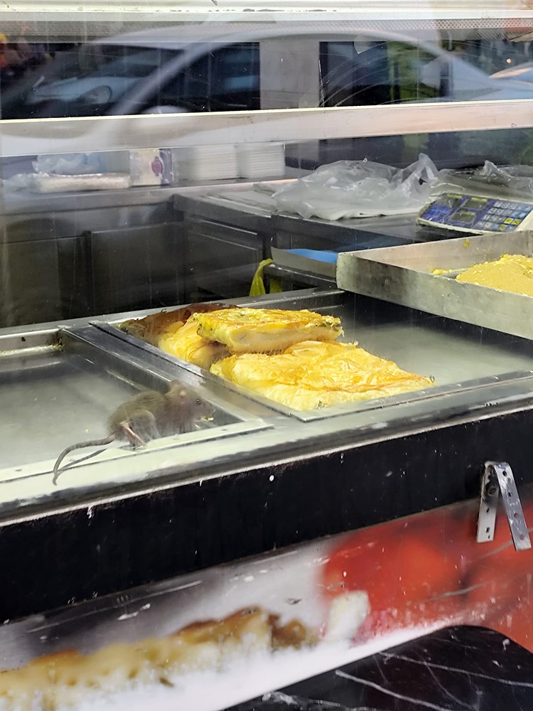 Fareli Börek Skandalı AW600787 02 - Marmara Bölge Gazetesi