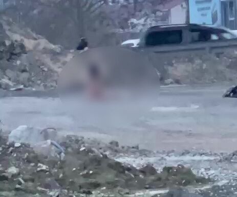 Köprü Altında Çırılçıplak Şov Yaptı! AW606529 03 e1766738583803 - Marmara Bölge Gazetesi