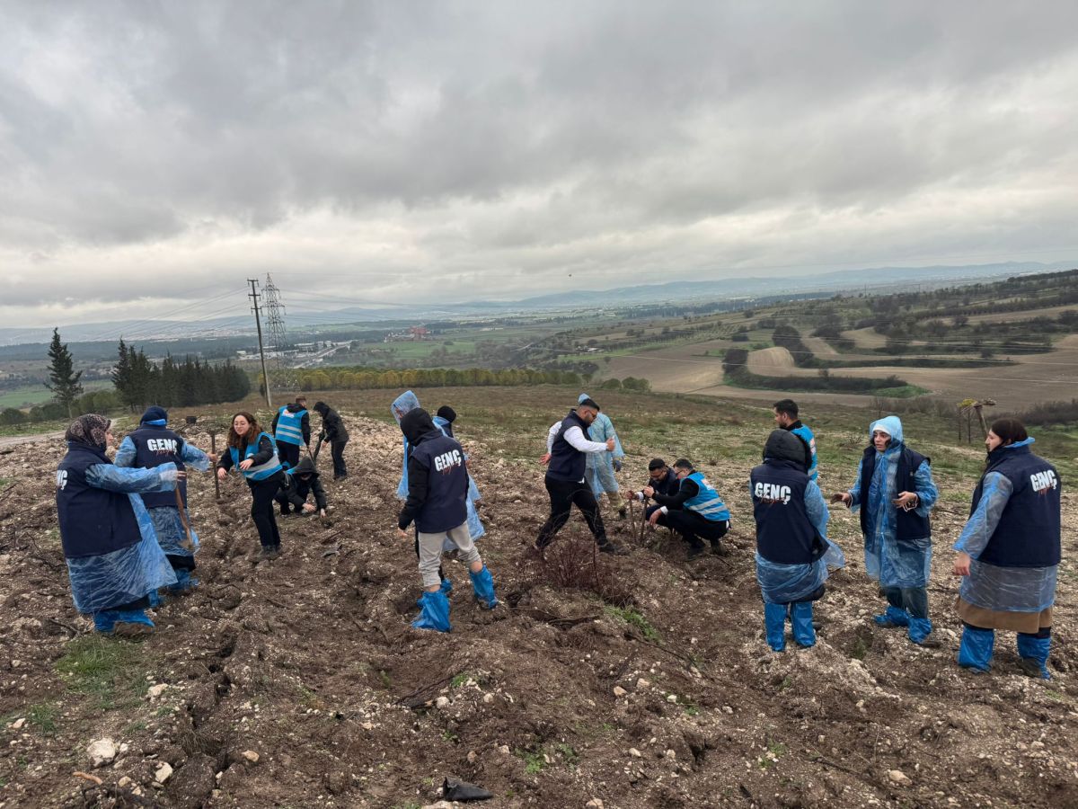 AK Parti Gençlik Kolları Hatıra Ormanı’na Yüzlerce Fidan Ekti WhatsApp Image 2025 12 08 at 13.28.33 1 - Marmara Bölge Gazetesi