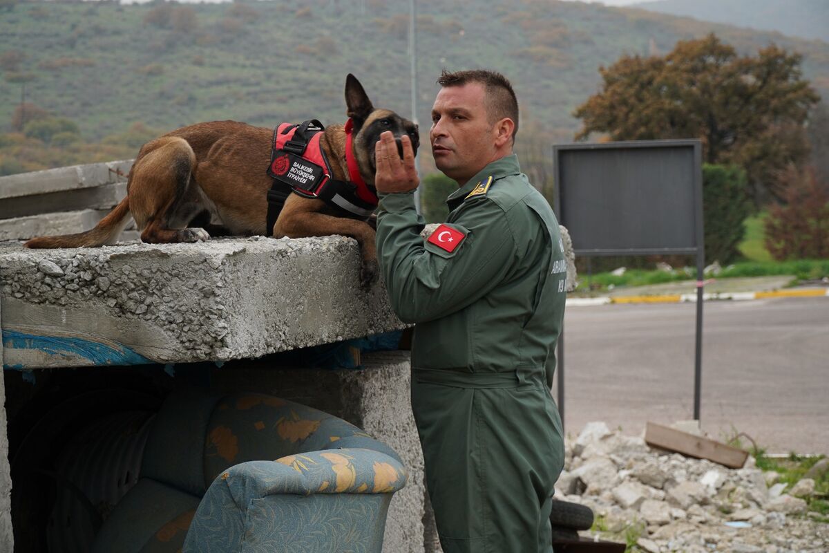 Balıkesir İtfaiyesi’nin Yeni Kahramanı: K9 İda a39e3fc0 8de3 4392 8876 c01854fc6070 - Marmara Bölge Gazetesi