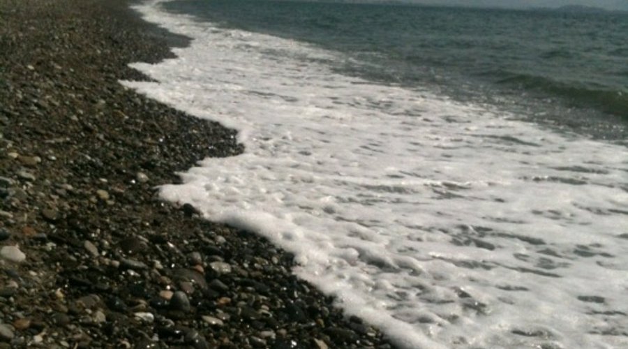 Kalabalıktan Uzak Sessiz Bir Deniz Kaçamağı akmaz plaji - Marmara Bölge Gazetesi