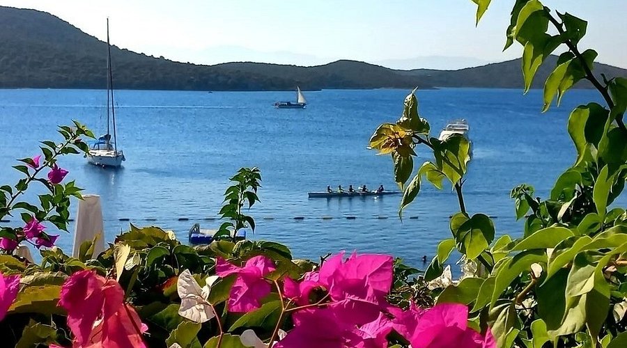 Muğla’nın en sakin sahil duraklarından biri olan Bitez Plajı, berrak