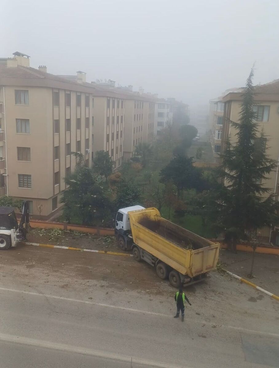 Karesi Belediyesi’nden Ağaç Katliamı! c1e66e41 227c 4598 94f3 4a34e3a42cce - Marmara Bölge Gazetesi