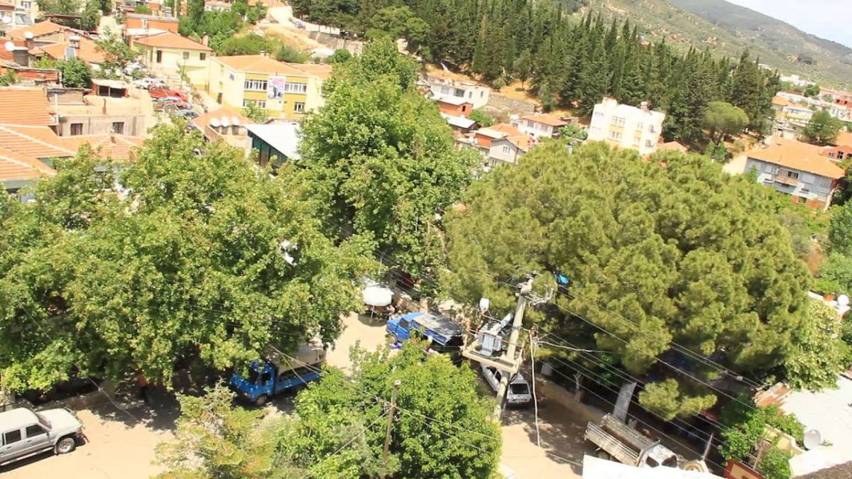 Edremit’te Zeytinliklerle Çevrili Huzurlu Bir Keşif Noktası edremit - Marmara Bölge Gazetesi