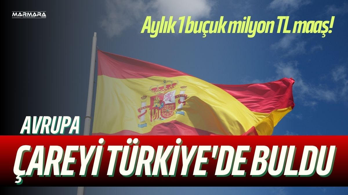 Avrupa’da giderek büyüyen ağır vasıta şoförü krizi, ülkeleri yeni arayışlara