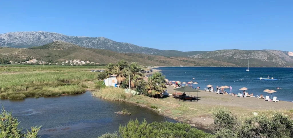 Bu Koyun Sırrını Öğrenen Vazgeçemiyor image 287 1024x483 1 - Marmara Bölge Gazetesi