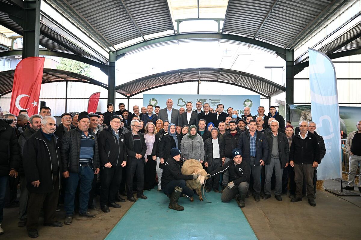Balıkesir’de Damızlık Koç Desteği! 16555bb5 cf40 416e ac11 7e716f18c1a9 - Marmara Bölge Gazetesi