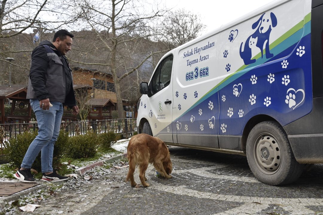 Dursunbey’de Sokak Hayvanları Alarmı! 609345598 18506137699079512 8040491646682733244 n - Marmara Bölge Gazetesi