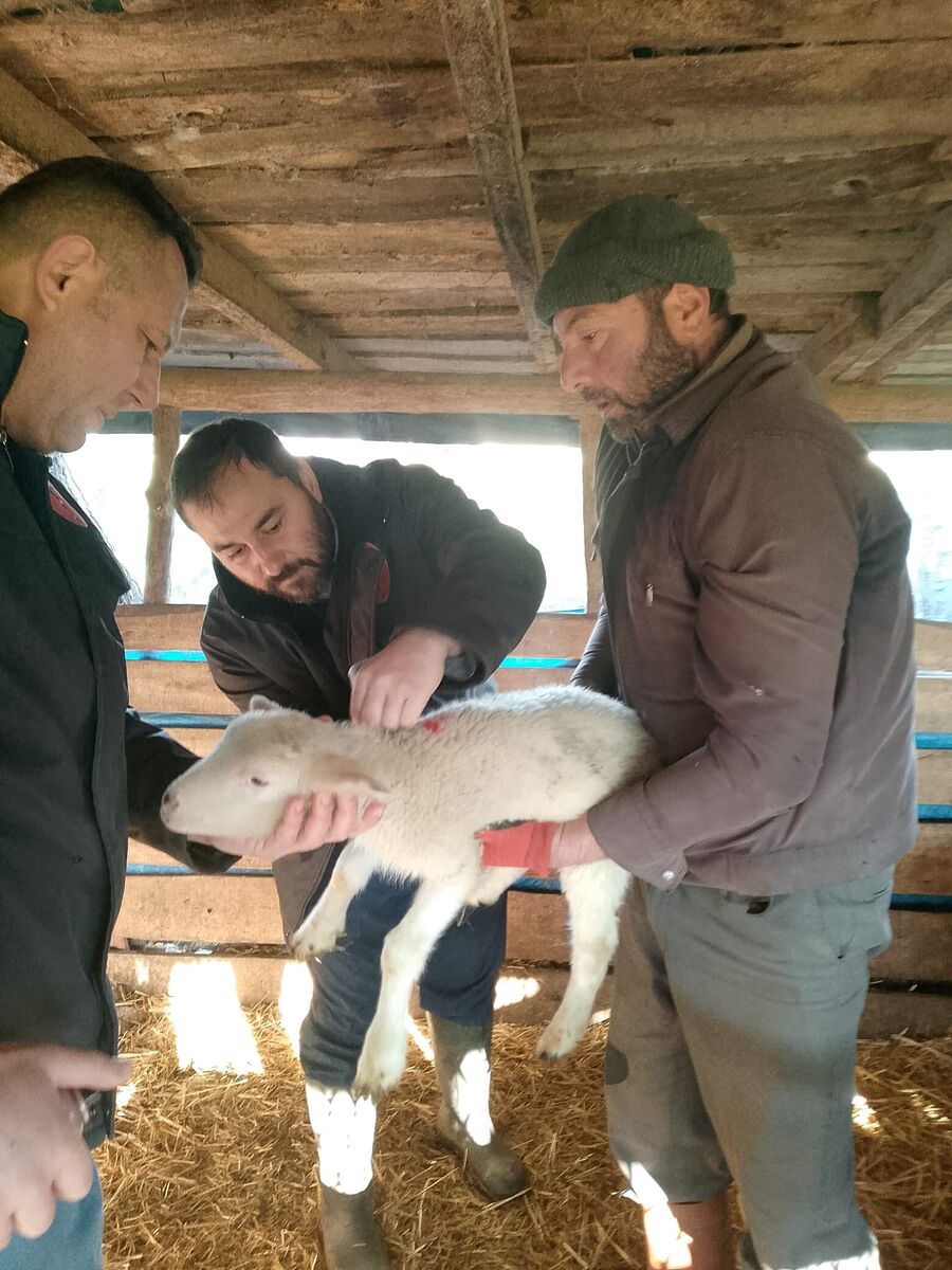 Balıkesir’de Küçükbaş Hayvanlarda Şap Alarmı! 611259733 1280903477413845 5711391751822155067 n - Marmara Bölge Gazetesi