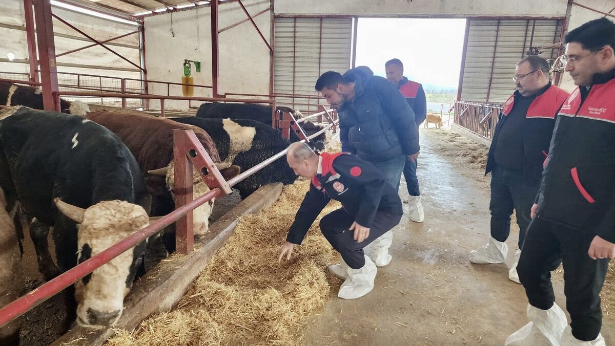 Balıkesir İl Tarım ve Orman Müdürlüğü’nün Bigadiç ilçesinde yürüttüğü saha