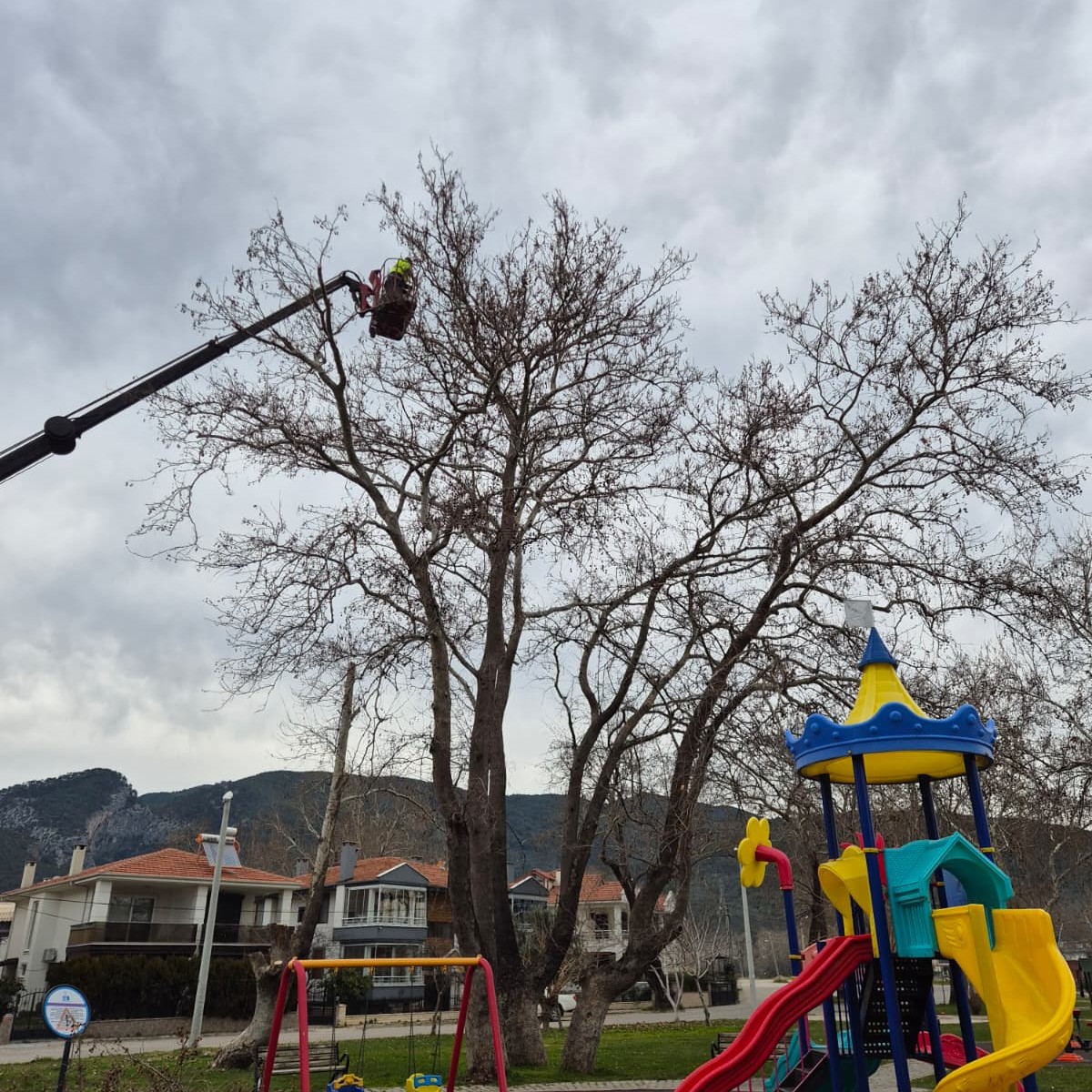 Edremit, Kışa Giriş Yaptı! 616371407 895537009503992 7915920558366846593 n - Marmara Bölge Gazetesi