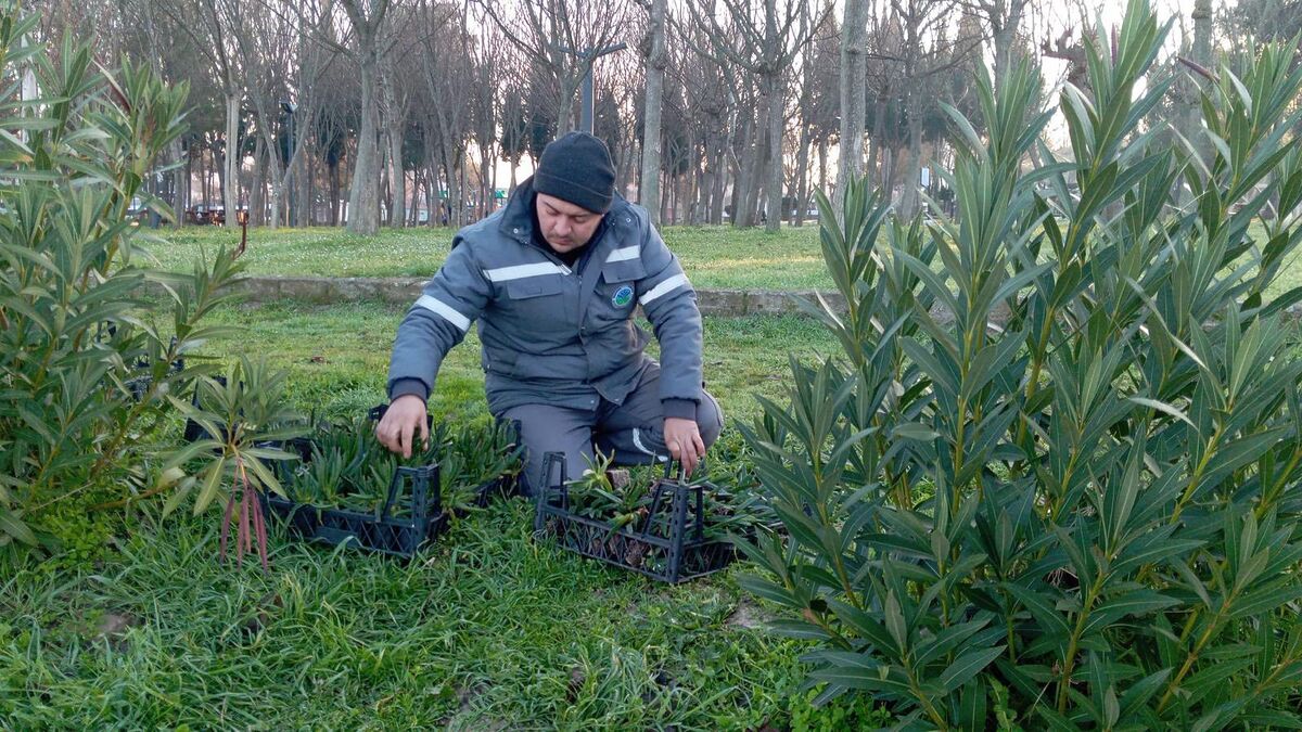 Balıkesir’de Kış Farkı Hissediliyor! 617558679 1342685221234845 1098763714067170418 n - Marmara Bölge Gazetesi