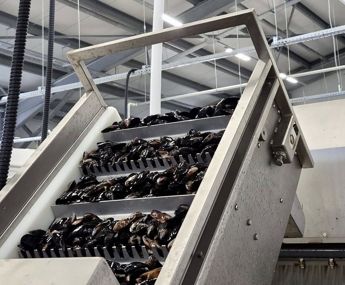Balıkesir İl Tarım ve Orman Müdürlüğü koordinasyonunda, Balıkesir İl Müdürü