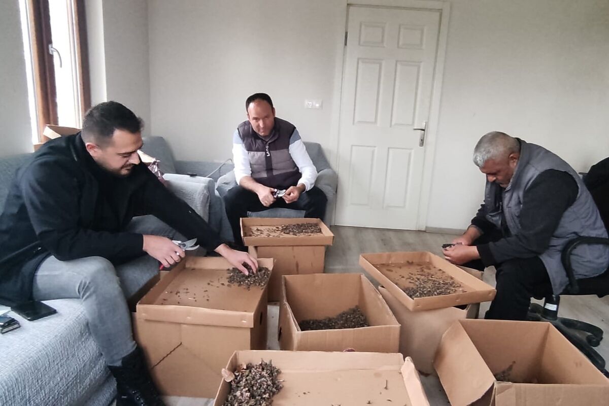 Kestane Ormanları İçin Kritik Hamle 622771016 1353303376837997 4868121898535772580 n - Marmara Bölge Gazetesi