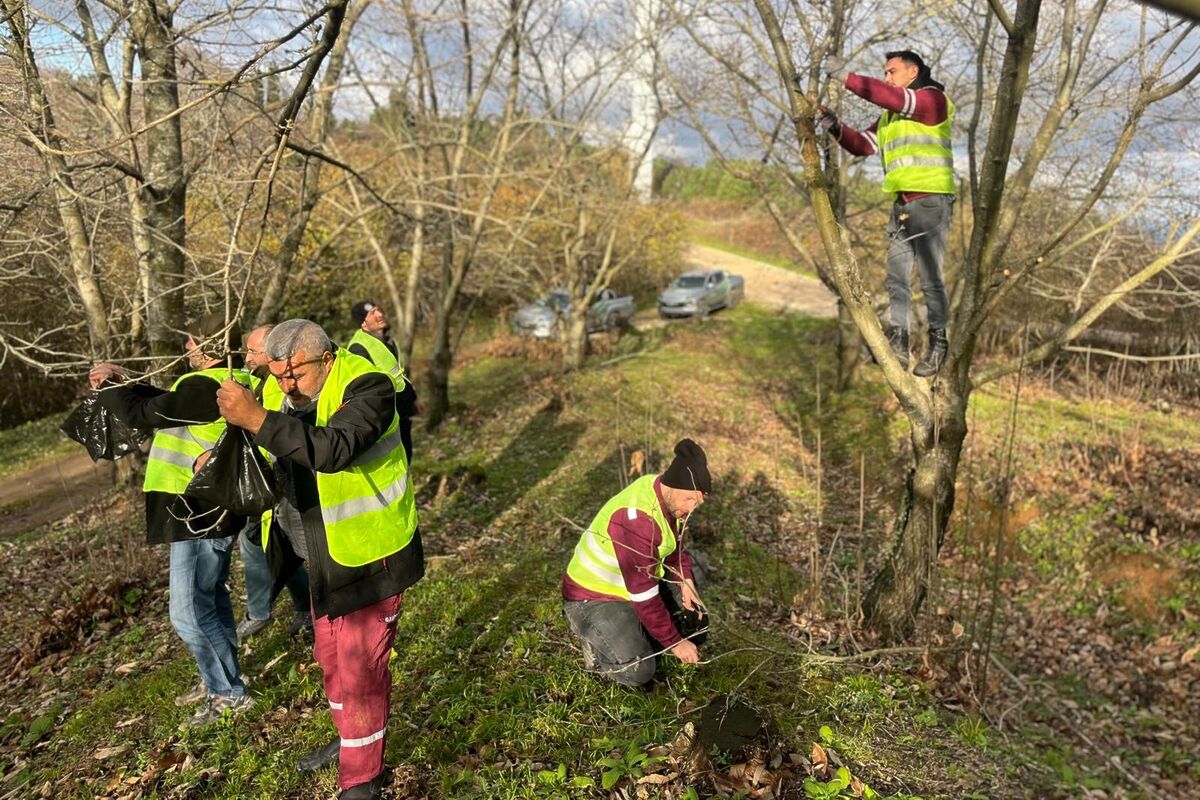 Kestane Ormanları İçin Kritik Hamle 622798131 1353303410171327 6619759640707963802 n - Marmara Bölge Gazetesi