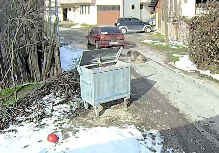 Yolda Uyuyan Köpeği Bilerek Ezdi AW617863 01 - Marmara Bölge Gazetesi
