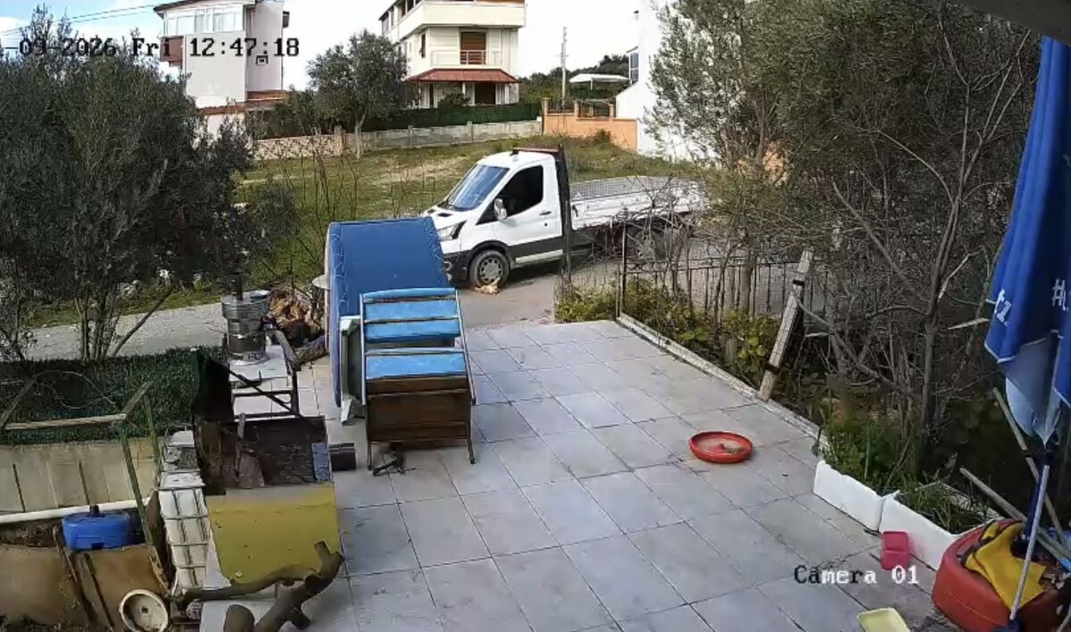 Köpeği Acımadan Defalarca Ezdi! AW620473 01 - Marmara Bölge Gazetesi
