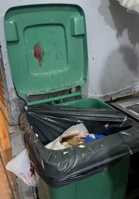Pastanede Mide Bulandıran Görüntüler AW629552 02 - Marmara Bölge Gazetesi
