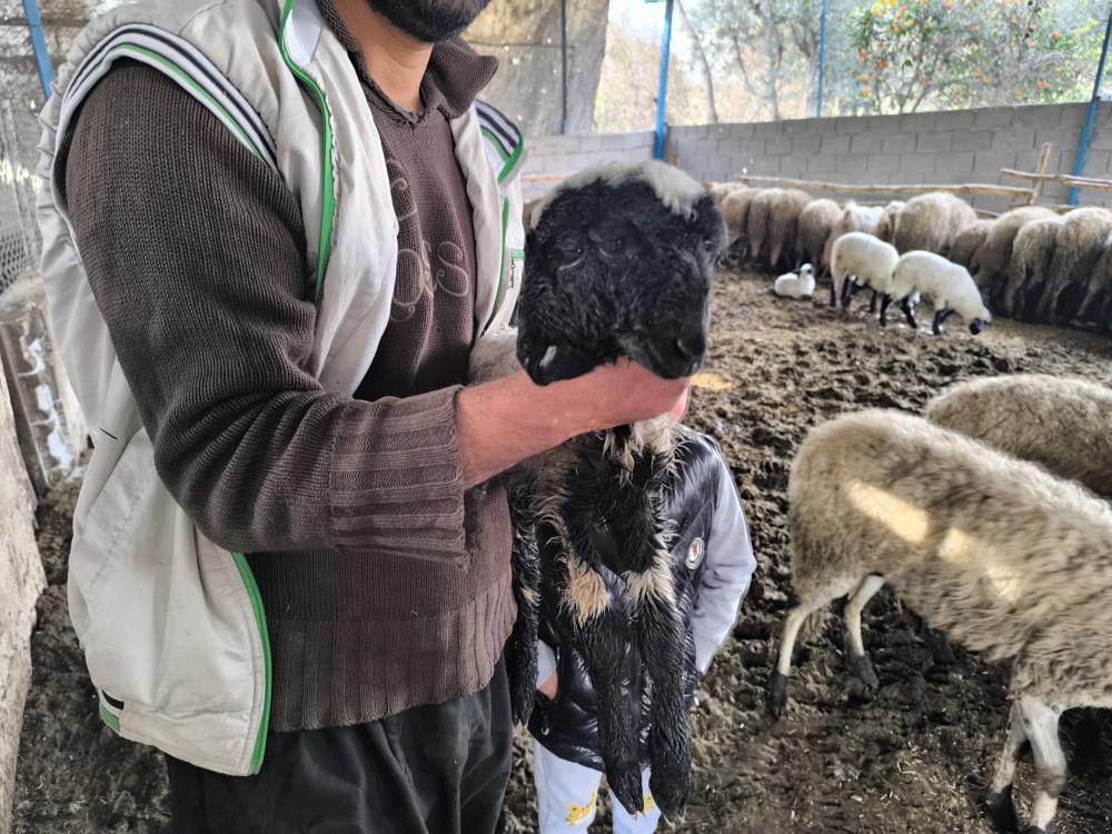 Görenleri Hayrete Düşürdü AW631664 02 - Marmara Bölge Gazetesi