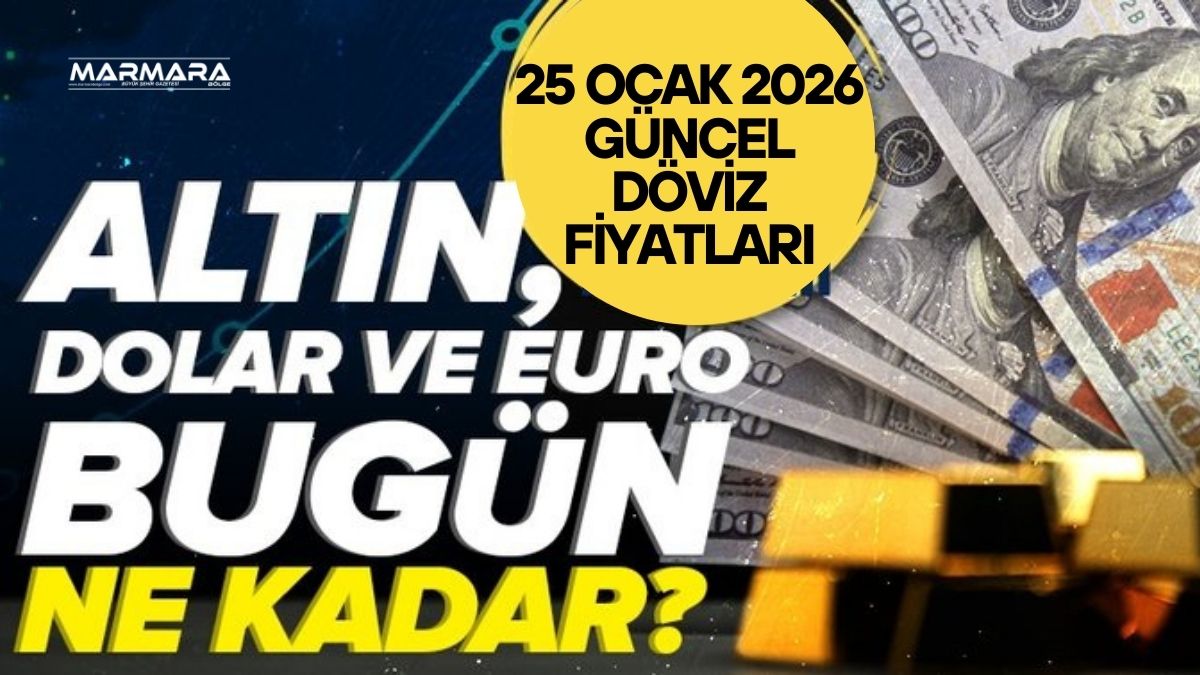 25 Ocak Pazar 2026 günü saat 09.00 itibarıyla dolar/TL kuru