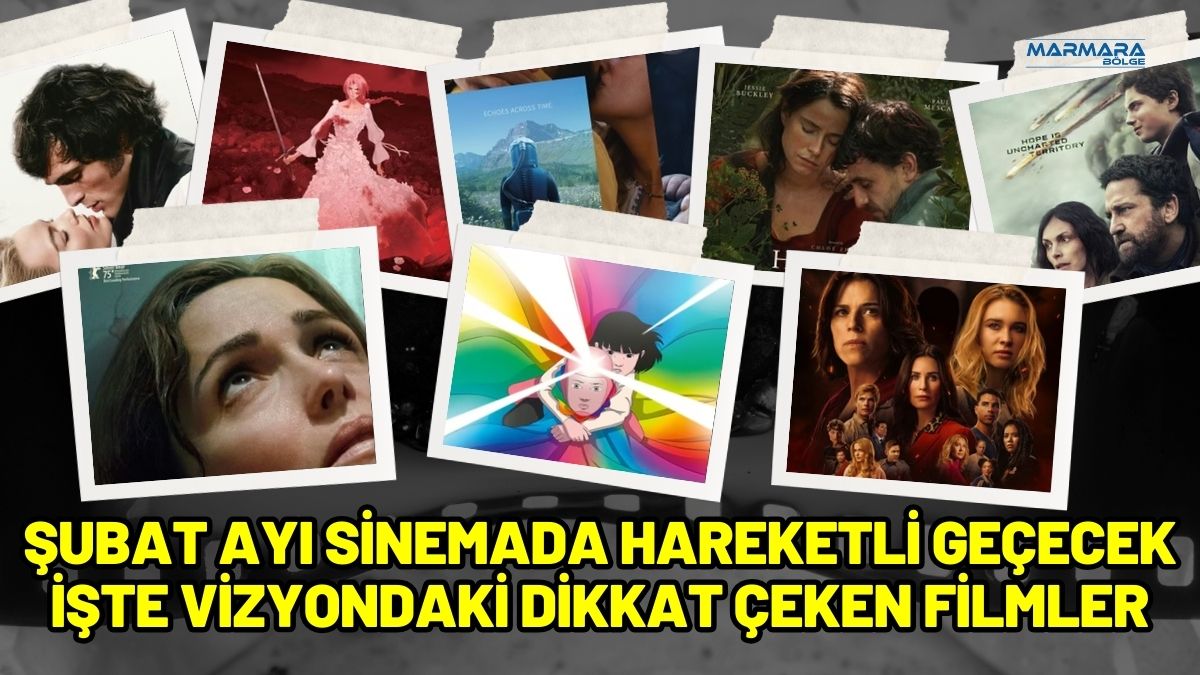 Şubat ayı, gişe filmleri açısından görece sakin bir dönem olarak